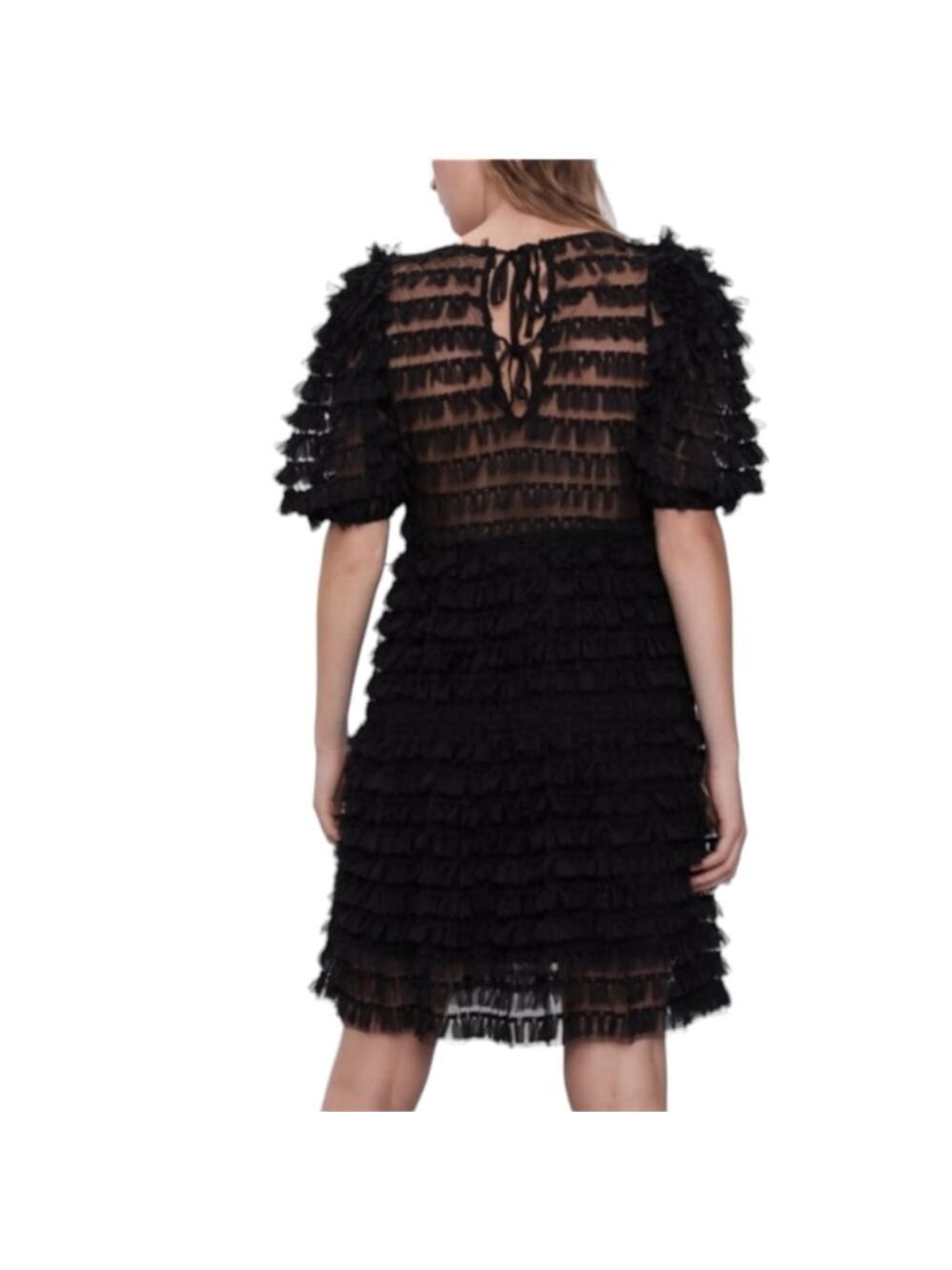 Zara Tulle Fringe Dress